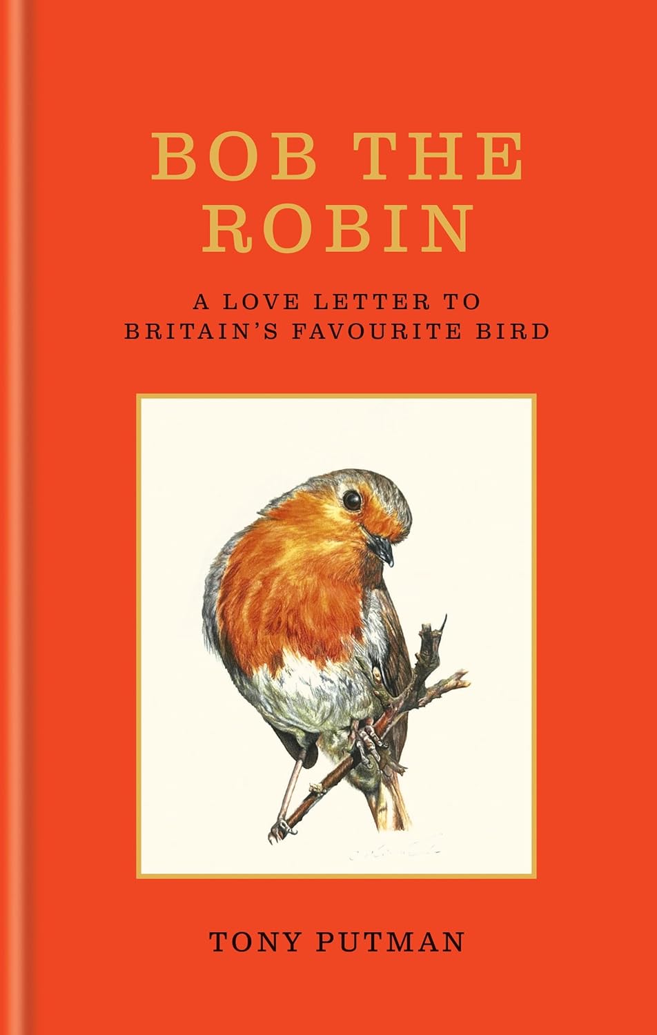 Bob the Robin: A love letter to Britain's favourite bird by Tony Putman